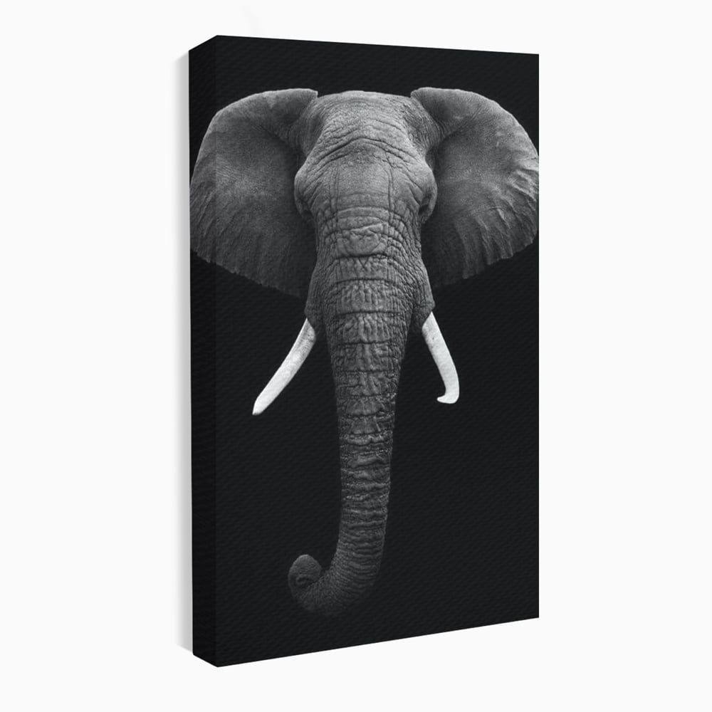 Tablou canvas cu tablou canvas cu cap de elefant, fara rama, pe sasiu de lemn